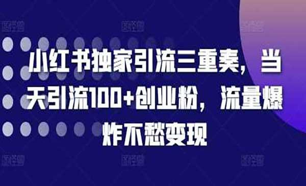 小红书独家引流[吾爱首发]