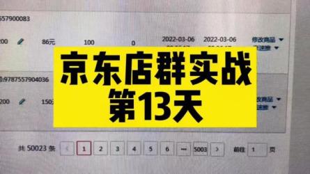 京东店群全类目解析实战项目，最新技术和方法让店铺起飞-课程-网盘资源分享