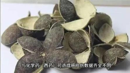 凤凰周刊上半年合集-课程-网盘资源分享