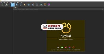 Navicat Premium 数据库管理工具_V17.1.10 PC高级版-[吾爱首发]