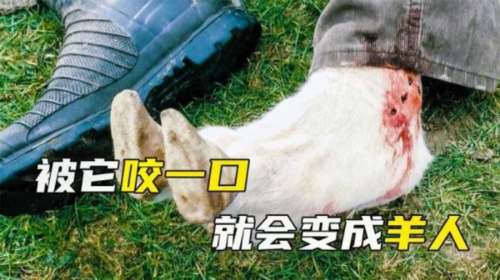 恐怖片《疯羊》解说文案-[原创首发]-吾爱文案网