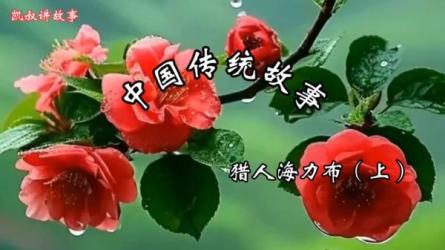 凯叔470G：_25-课程-网盘资源分享