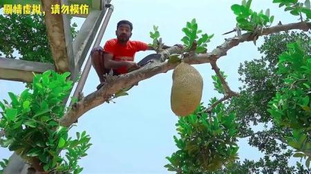 [文]喜剧《菠萝蜜》电影解说文案