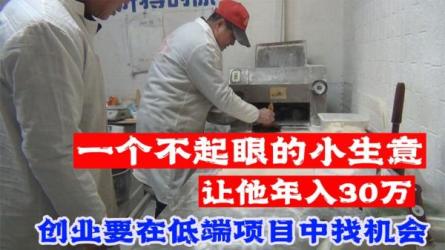 不起眼的小生意，年入30W的长期项目【详细教程】-课程-网盘资源分享