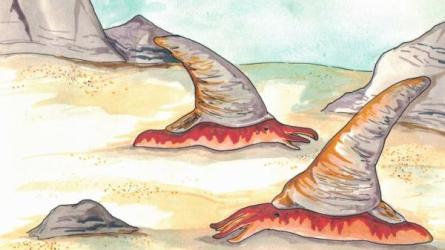 【B站付费课程】鬼谷的生物演化课-[B站]-课程-网盘资源分享