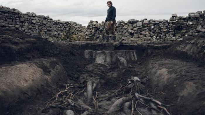 2024最新恐怖片，一家三口搬到极阴之地，竟遭可怕力量汲取生命_《饥饿英亩》-[原创首发]-吾爱文案网