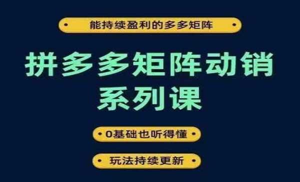 拼多多矩阵动销[吾爱首发]