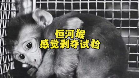 【完结】【千聊】中科院博士21天感统训练营_55-课程-网盘资源分享