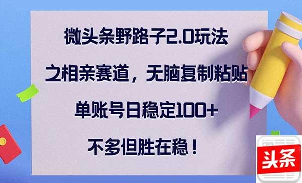 微头条野路子2.0玩法[吾爱首发]