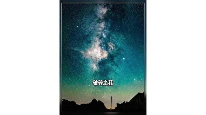 剧情《破碎之花》电影解说文案-[原创首发]-吾爱文案网