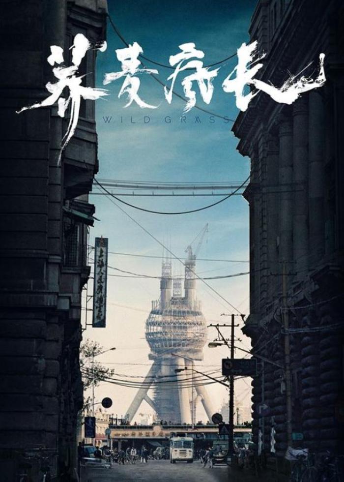 剧情《荞麦疯长》电影解说文案（电影荞麦疯长剧情解析）-[原创首发]-吾爱文案网