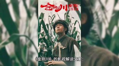 [文]动作《七金刚》电影解说文案（金刚川电影解说文案）