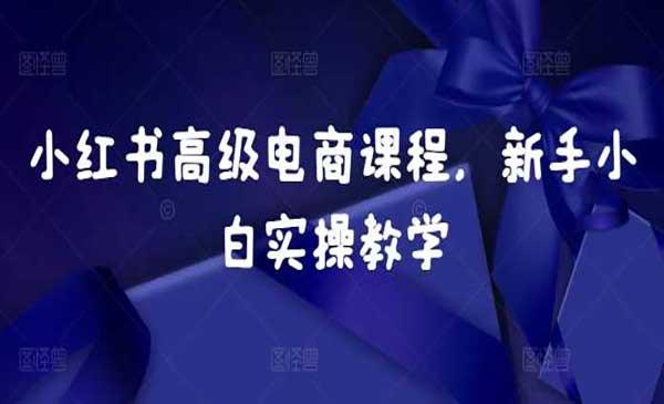 小红书高级电商课程[吾爱首发]