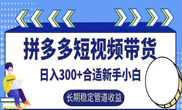 拼多多短视频带货[吾爱首发]