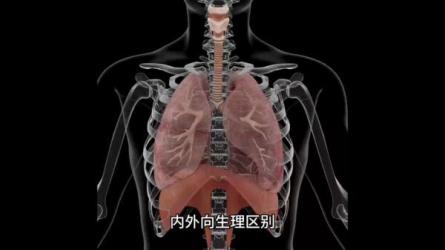 内在孩子的潜在力-课程-网盘资源分享