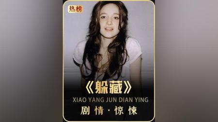 [文]恐怖《躲藏》电影解说文案