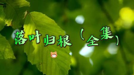 [文]剧情电影《落叶归根》解说文案片源地址（落叶归根电影剧本）