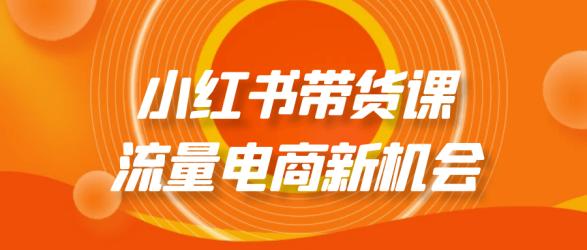 小红书带货课流量电商新机会【吾爱】