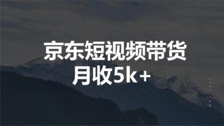 京东短视频带货有扶持，搬运去重，可积累长期项目，轻...-课程-网盘资源分享