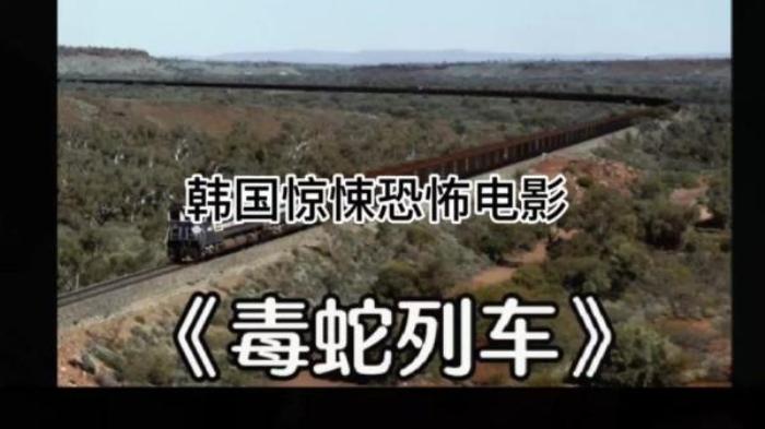 恐怖的电影《毒蛇列车》解说文案-[原创首发]-吾爱文案网
