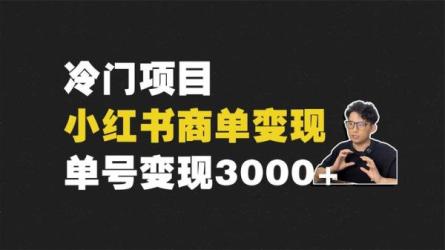 【推荐】外面卖498元小红书商单变现项目，教你快速起号...-课程-网盘资源分享