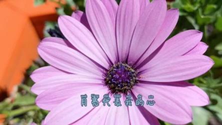 从零开始学钢琴：圆你儿时钢琴梦+1000多钢琴谱，按作者分类-课程-网盘资源分享