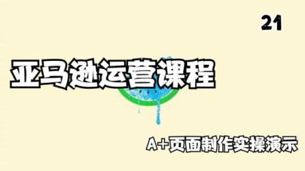 亚马逊运营实操课-课程-网盘资源分享