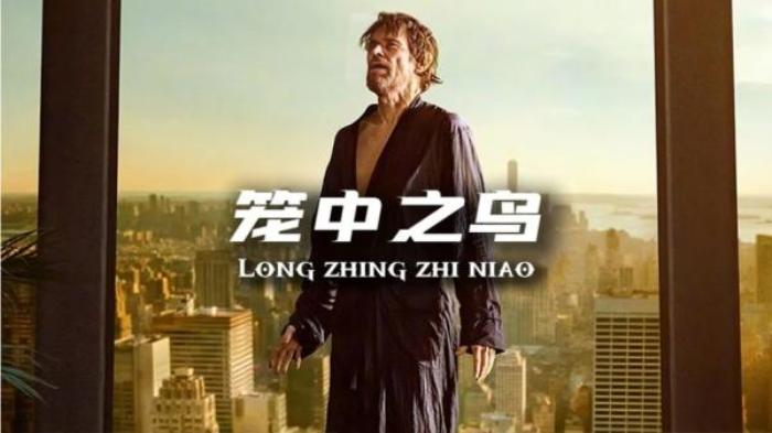 剧情电影《笼中之鸟》解说文案-[原创首发]-吾爱文案网