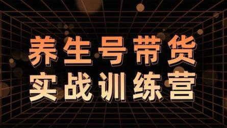 养生号带货特训营【12期】收益更稳定的玩法-课程-网盘资源分享