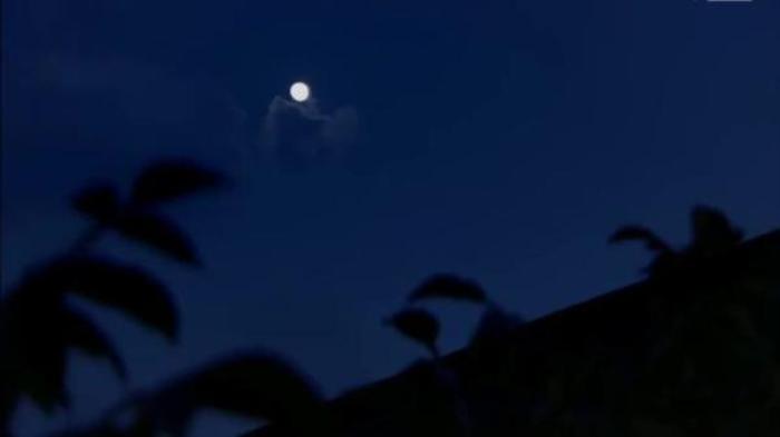 吾爱搞笑吐槽神剧《等你爱我》：阿姨我不想努力了，但是你不可以电影解说文案-[原创首发]-吾爱文案网