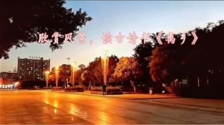 其他平台05古诗3G：_33-课程-网盘资源分享