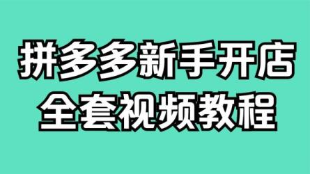 拼多多商家开店入门必学，0基础新手小白扫盲课-课程-网盘资源分享