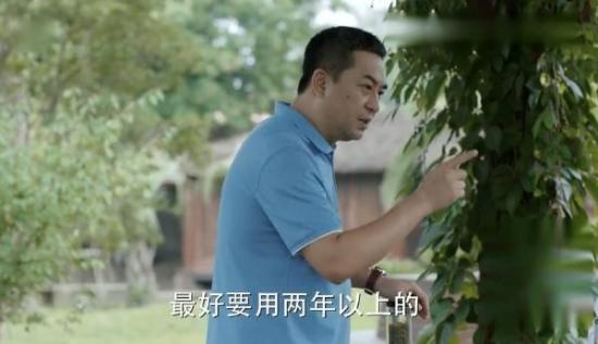 《少年派》_第23集_分集剧情