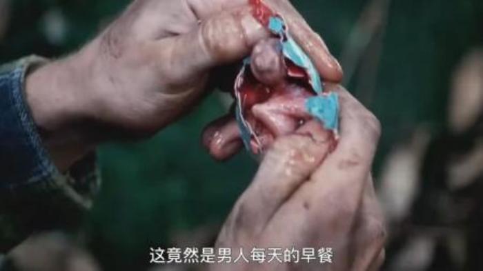 [原创][独家原创]冒险电影《丛林》解说文案解说素材-[原创首发]-吾爱文案网