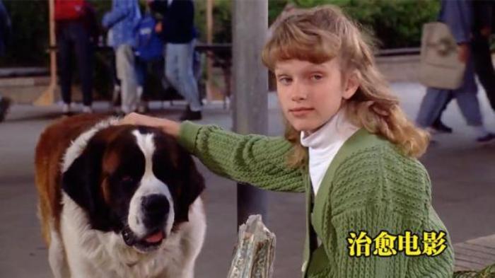 《无敌当家》你养我一天，我就用一生去守候，一部超级温情的治愈电影！电影解说文案-[原创首发]-吾爱文案网