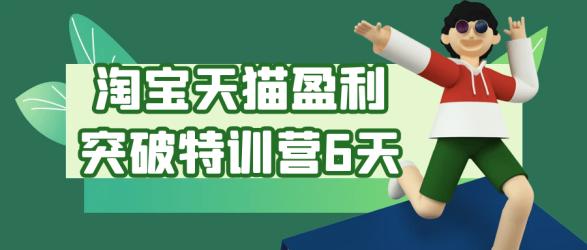 淘宝天猫盈利突破特训营6天【吾爱】