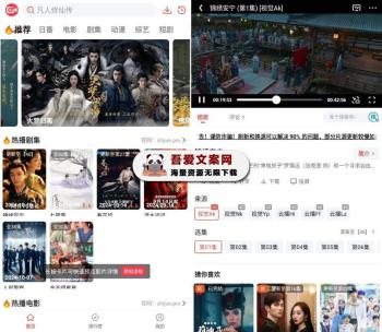 安卓新视觉APP_V1.0.10 纯净版-[吾爱首发]