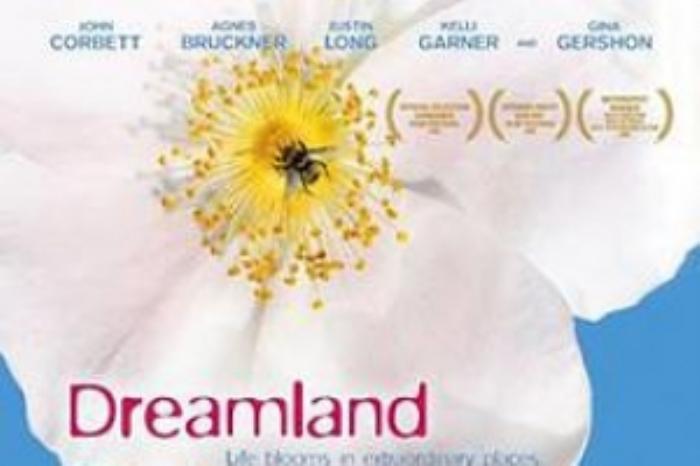 [原创][吾爱原创]奇幻冒险《梦乡》电影解说文案-[原创首发]-吾爱文案网