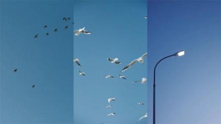 摄影综合课人像摄影高阶班淘宝虚拟无货源精英班抖音...-课程-网盘资源分享