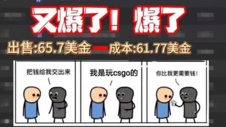 收费9800的CSGO汇率搬砖项目，一个月轻松赚几千-课程-网盘资源分享