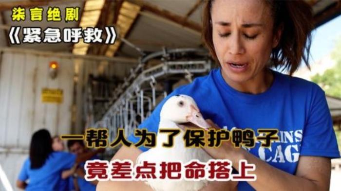 两分钟看《紧急呼救》，男子为保护鸭子却被锁困住喉咙，怎么自救电影解说文案-[原创首发]-吾爱文案网