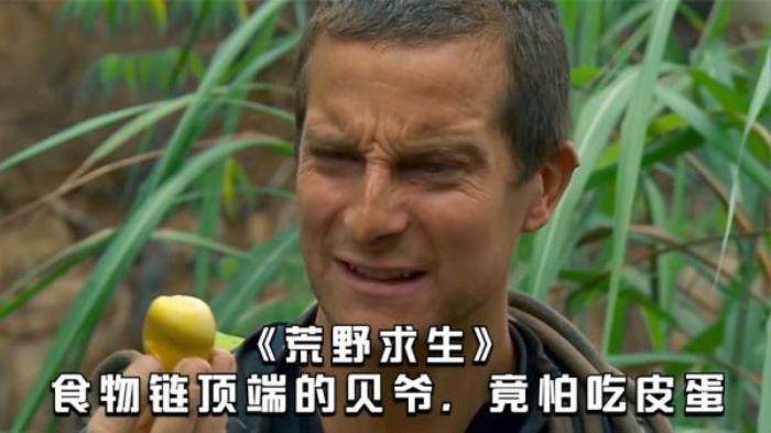 六分钟《跟着贝尔冒险》，食物链顶端的贝爷怕吃皮蛋，就报复明星电影解说文案-[原创首发]-吾爱文案网