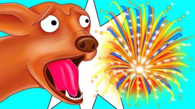 为什么狗喜欢吱吱作响的玩具？盘点更多你不知大的动物事实