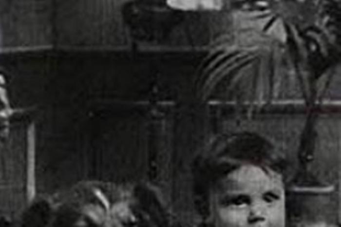 [原创][吾爱原创]剧情片《义犬救主》电影解说文案-[原创首发]-吾爱文案网