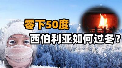 西伯利亚如何过冬？囤粮上千斤腌菜数百罐，砍柴还得一个月