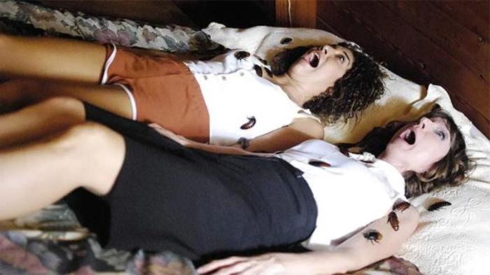 胆小者看的恐怖电影解说：几分钟带你看完美国恐怖电影《巢穴》电影解说文案-[原创首发]-吾爱文案网