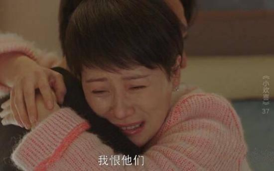 《小欢喜》_第37集_分集剧情