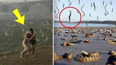 6场发生过非常奇怪的降雨，印度曾下过“血雨”，是天降厄运？