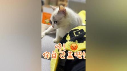 抢小猫系列5.8G：_85-课程-网盘资源分享