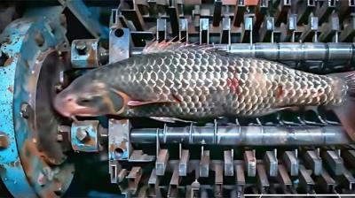 6台令人满意的工厂机器，让你惊叹不已，巨型齿轮如何被制造的？